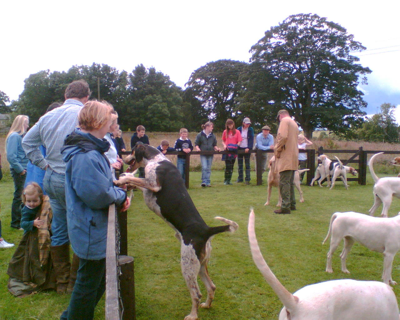 Visit to Morpeth Hunt Kennels